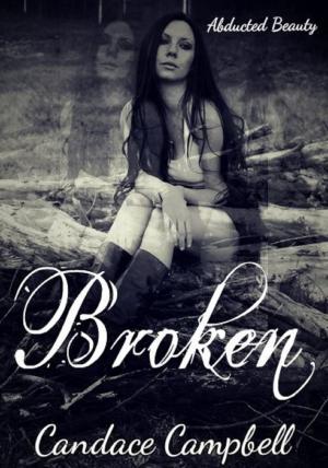Cover of the book Broken by Jennifer Barraclough