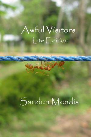 Cover of the book Awful Visitors: Lite Edition by Noorulain Ayesha