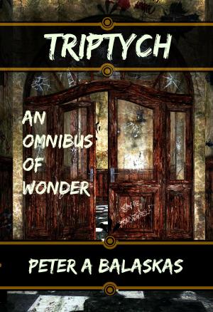 Cover of the book Triptych: an Omnibus of Wonder by Julie Ann Dawson, CB Droege, Vonnie Winslow Crist, Larry Lefkowitz, Mark Charke, ErlyAnne Toomey, J.M. Williams, Bill Hiatt