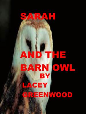Book cover of Sarah and the Barn Owl
