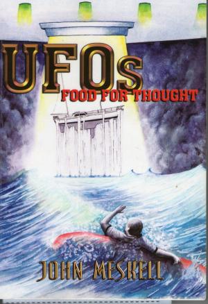 Cover of the book UFOs Food For Thought by Dirk Flinthart