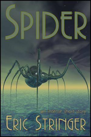 Cover of the book Spider by Joely Sue Burkhart