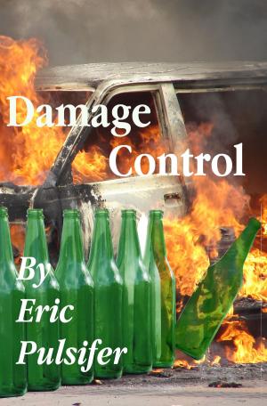 Cover of the book Damage Control by Craig Mallery