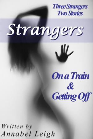 Book cover of Strangers: On a Train & Getting Off