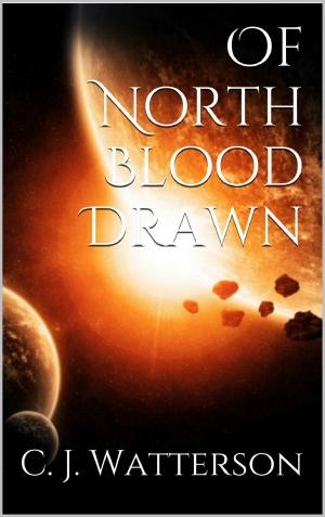 Cover of the book Of North Blood Drawn by Jodi Ann Fahey