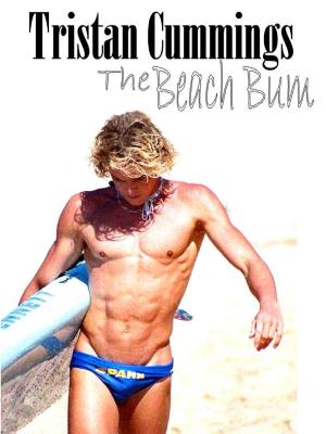 bigCover of the book The Beach Bum by 