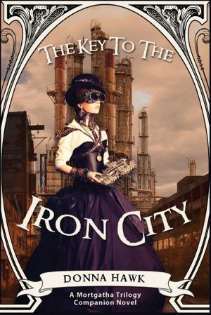 Cover of the book The Key to the Iron City by McKinley Adams