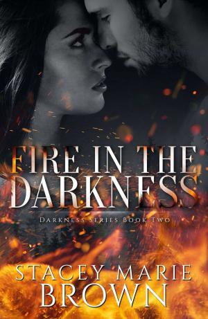 Cover of the book Fire In The Darkness (Darkness Series #2) by Stacey Marie Brown