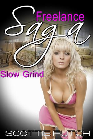 Book cover of Freelance Saga: Slow Grind