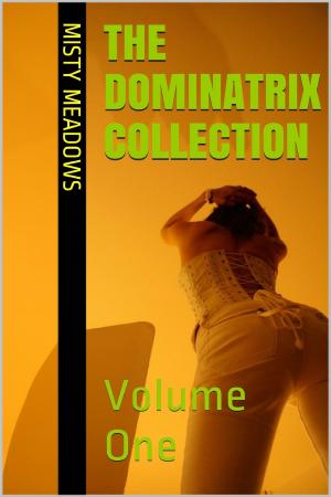 Cover of the book The Dominatrix Collection: Volume One (Femdom, BDSM) by Misty Meadows
