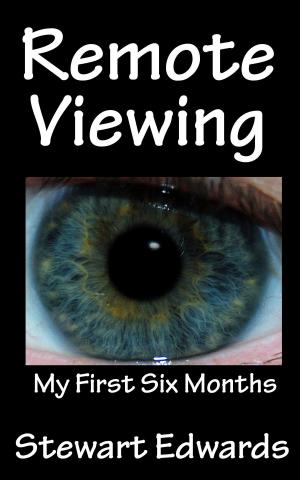 Book cover of Remote Viewing My First Six Months