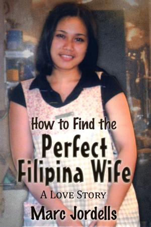Cover of How to Find the Perfect Filipina Wife: A Love Story