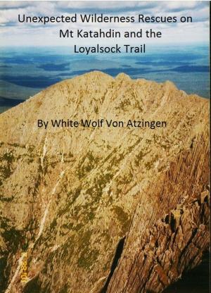 Book cover of Unexpected Wilderness Rescues on Mt Katahdin and the Loyalsock Trail