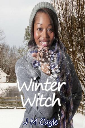 Cover of the book Winter Witch by Melissa Blue