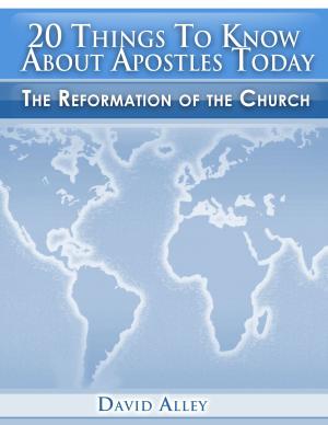 Cover of the book 20 Things To Know About Apostles Today by Edmund Chan, Ann Chan