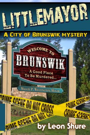 Cover of the book Littlemayor, a City of Brunswik Mystery by David Anglin