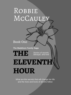 Book cover of The Eleventh Hour