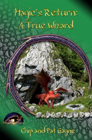 Cover of the book Magic's Return: A True Wizard by Cat Gardiner