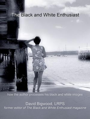 Book cover of The Black and White Enthusiast