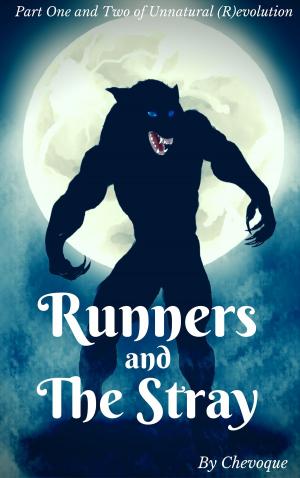 Book cover of Runners and the Stray