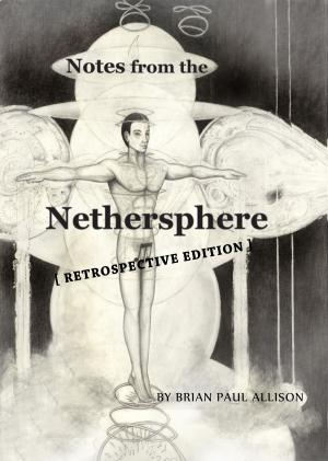 bigCover of the book Notes from the Nethersphere by 