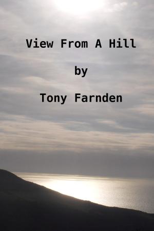 Book cover of View From A Hill