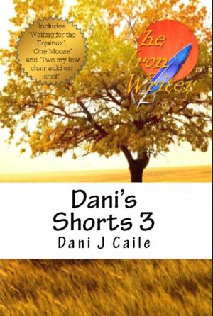 Cover of Dani's Shorts 3