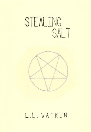 Cover of the book Stealing Salt by L L Watkin