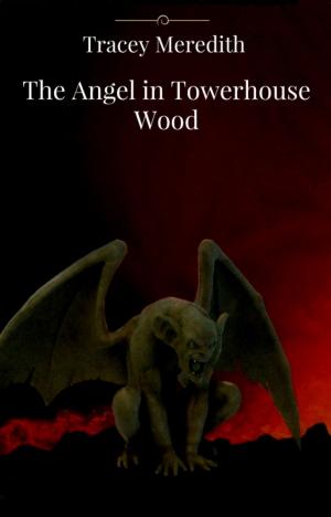 Book cover of The Angel in Towerhouse Wood