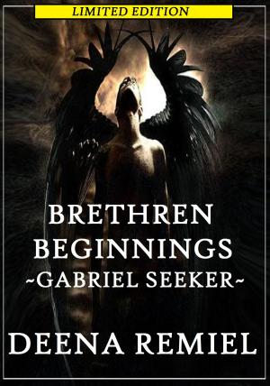 Cover of the book Brethren Beginnings ~ Gabriel Seeker by Arwen Jayne
