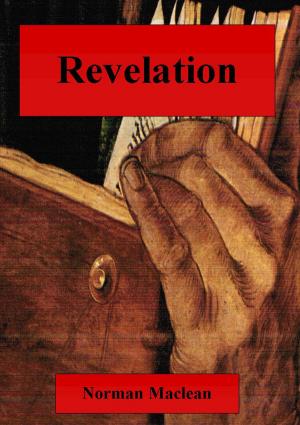 Cover of the book Revelation by Claire Plaisted
