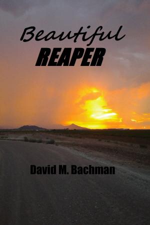 Cover of the book Beautiful Reaper by David Hernandez