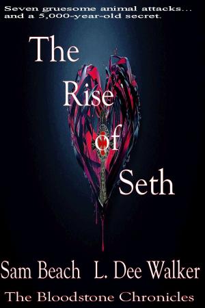 Cover of the book The Rise of Seth by chima obioma maduako