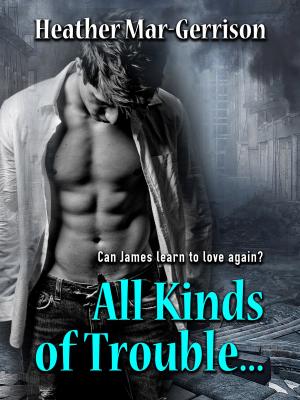 Book cover of All Kinds of Trouble...