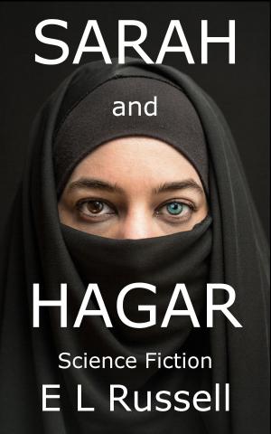 Book cover of Sarah and Hagar