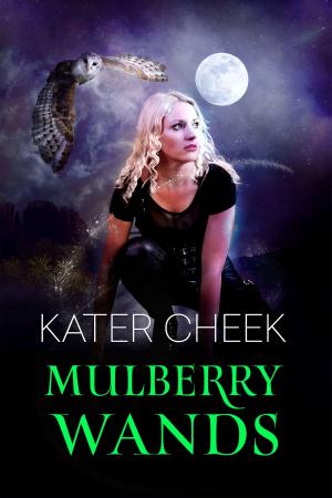 Cover of the book Mulberry Wands by Kater Cheek