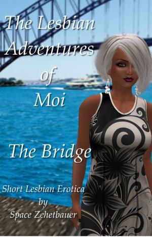 Cover of the book The Lesbian Adventures of Moi: The Bridge by Louise Bohmer, K.H. Koehler