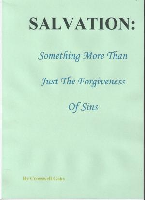 Cover of Salvation: Something More than Just the Forgiveness of Sins