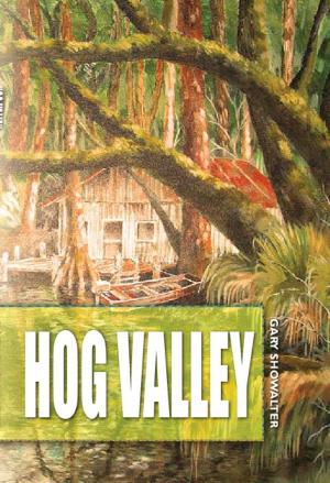 Book cover of Hog Valley