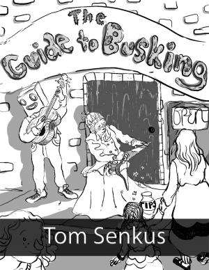 bigCover of the book The Guide to Busking by 