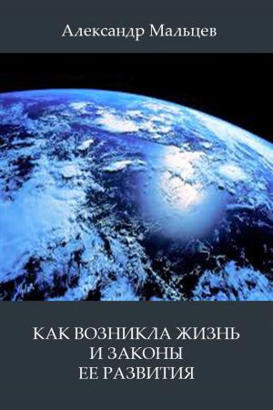 Cover of the book Как возникла жизнь и законы ее развития by Elena Minakova-Boblest