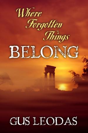 Cover of Where Forgotten Things Belong