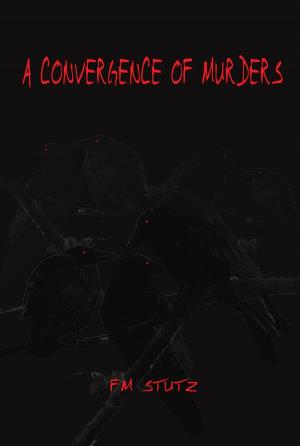 Cover of A Convergence of Murders