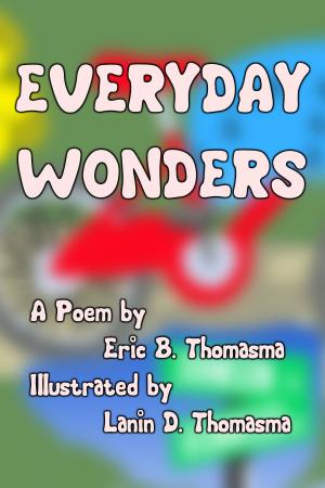 Cover of Everyday Wonders