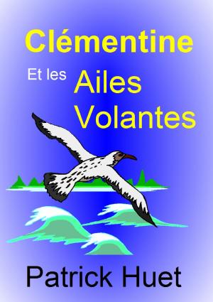 Book cover of Clémentine Et Les Ailes Volantes