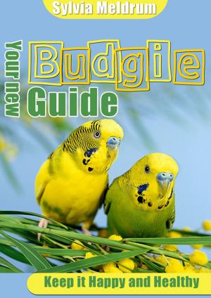 Cover of the book Your New Budgie Guide by Bethany Corbett