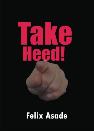 Book cover of Take Heed