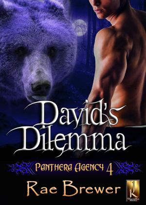 Cover of the book David's Dilemma by Wren McCabe