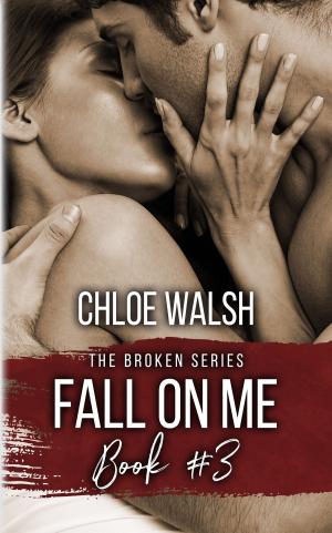 Book cover of Fall On Me