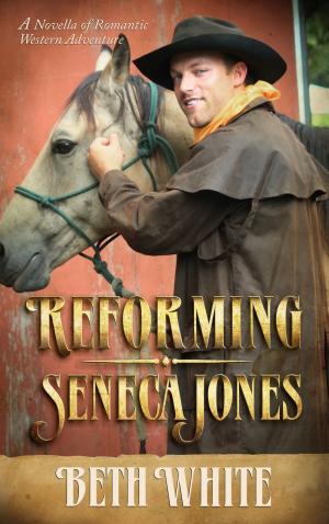Book cover of Reforming Seneca Jones